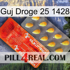 Guj Drug 25 1428 new01